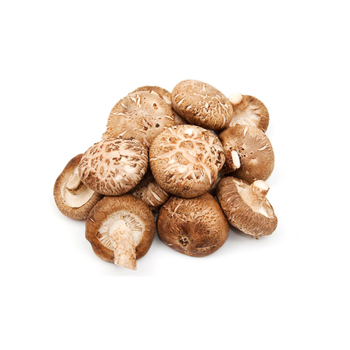 Shiitake Mushroom Extract Powder
