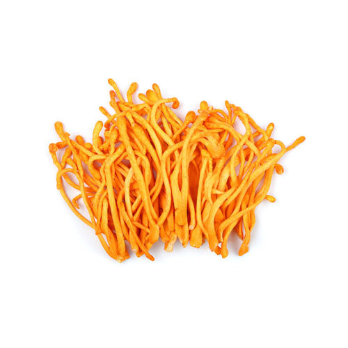 Cordyceps Concentrated Mushroom Extract Powder 8:1